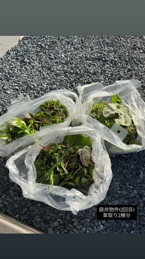 除草作業